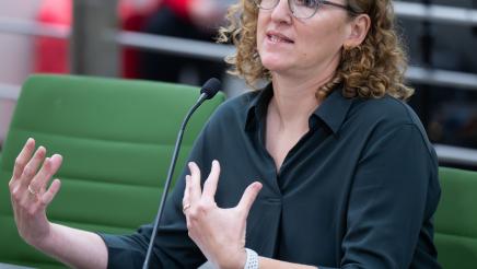 Asm Haney Fentanyl Hearing Photo Panel 2